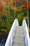 White Footbridge Path, Maine