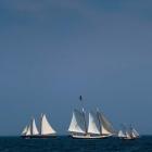 Three Schooners Sailing In Cape Ann