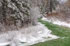 Coal Creek In The Winter, Montana
