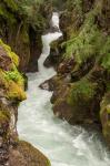 Glacier National Park, Montana Avalanche Creek