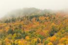 New Hampshire, White Mountain National Forest, Autumn