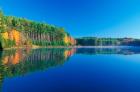 White Pines and Hardwoods, Meadow Lake, New Hampshire