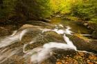 Autumn stream, New Hampshire