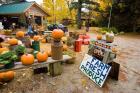 Farm stand, Holderness, New Hampshire