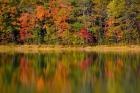 Reflected autumn colors at Echo Lake State Park, New Hampshire