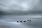 Beach Pilings On Stormy Sunrise, Cape May National Seashore, NJ