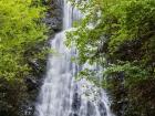 Mingo Falls, North Carolina