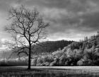 Storm Clearing At Dawn In Cataloochee Valley, North Carolina (BW)