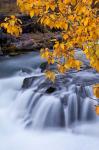 Rogue River Waterfalls In Autumn, Oregon