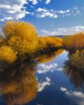 Donner And Blitzen River Landscape, Oregon
