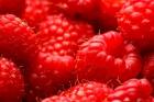 Close-Up Of Fresh Raspberries
