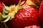 Close-Up Of Fresh Strawberry