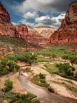 View Along The Virgin River Or Zion National Park