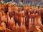 Morning Light On The Hoodoos Of Bryce Canyon National Park