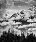 Mount Carrie And Carrie Glacier, Washington (BW)