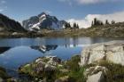 Whatcom Peak Reflected In Tapto Lake, North Cascades National Park