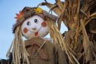 Scarecrow and Dead Corn Husks, Carnation, Washington