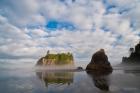 Early Morning Mist And Reflections Of Sea Stacks On Ruby Beach