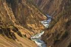 Yellowstone River Landscape, Wyoming