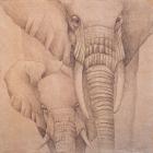 Elefantes en el Papel Quatro
