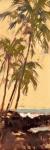 Shoreline Palms