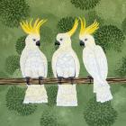 Cockatoo Trio