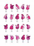 Pink Bird