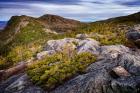 Tumbledown Mountain