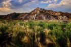 Summer Evening in the Badlands