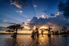 Sunset on Lake Martin