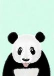 Cute Panda