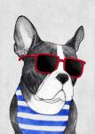 Frenchie Summer Style