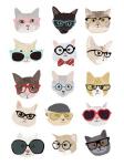 Cats with Glasses