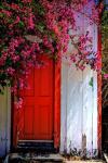 Red Door