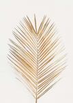 Palm Leaf Gold