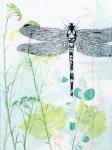 Dragonfly And The Healing Plant