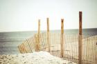 Wooden Beach Fence