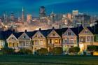 Painted Ladies