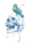 New Skull (Blue)