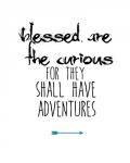 Blessed Are the Curious