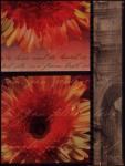 Flower Collage II