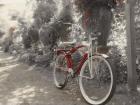 Garden Bike Red