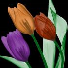 Jeweled Tulips 4