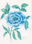 Floral Blue 1