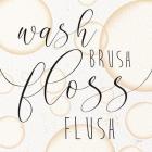 Wash Brush