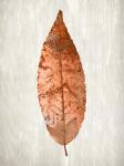 Copper Leaves 1