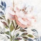 Peony Melody II