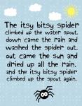 Itsy Bitsy Spider