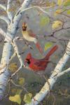 Cardinals In Birch
