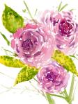 Bouquet Rose I